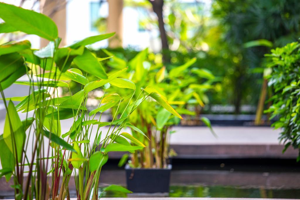 The Capital Resort @ Sukhumvit 50 Bangkok Eksteriør bilde Plants in a water garden