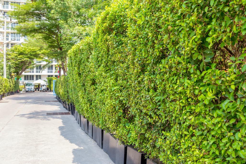 The Capital Resort @ Sukhumvit 50 Bangkok Eksteriør bilde A hedge